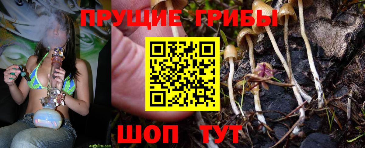 Псилоцибиновые грибы мухоморы Ейск
