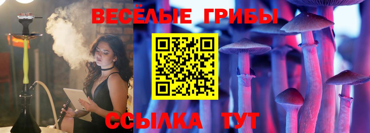 Галлюциногенные грибы мухоморы  Вход с VPN  Ейск 
